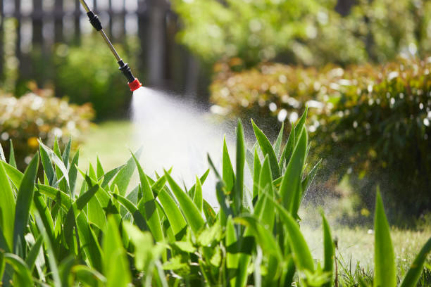 24/7 Emergency Fumigation Services experts in Flat Rock, MI
