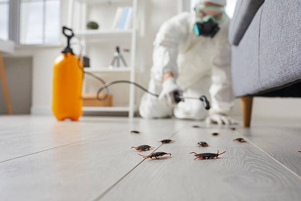 Affordable Fumigation Services solutions in Flat Rock, MI