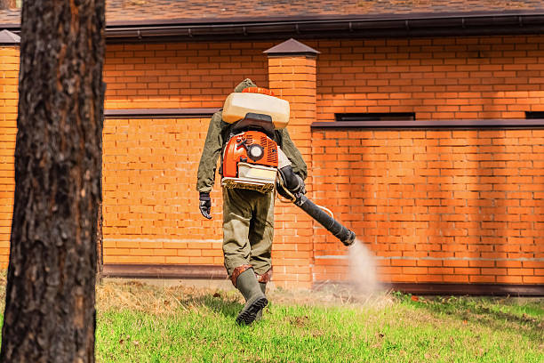 Top rated local Fumigation Services specialists in Flat Rock, MI